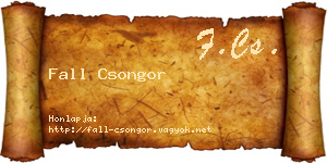Fall Csongor névjegykártya